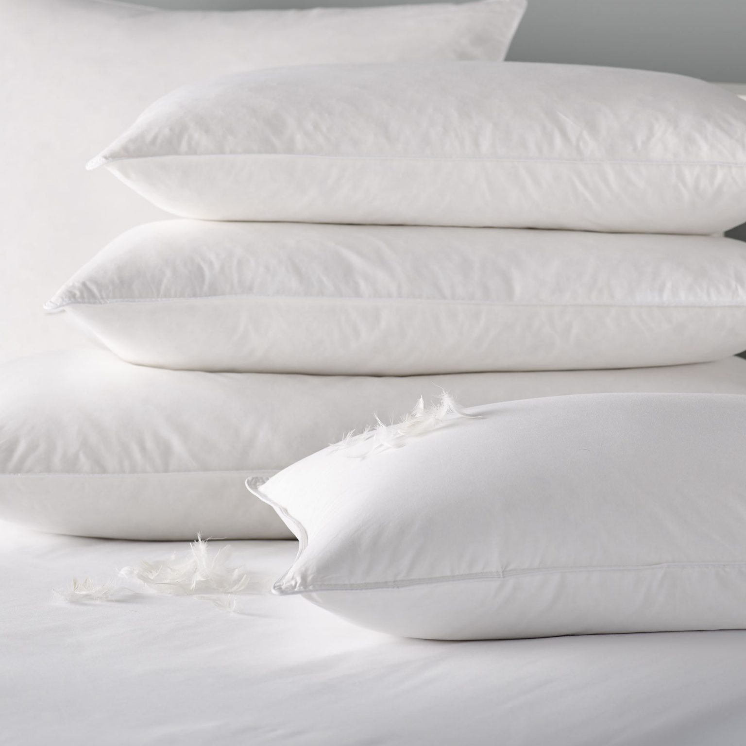 Hayleys Pillow Medium – 18×27 thumbnail 3