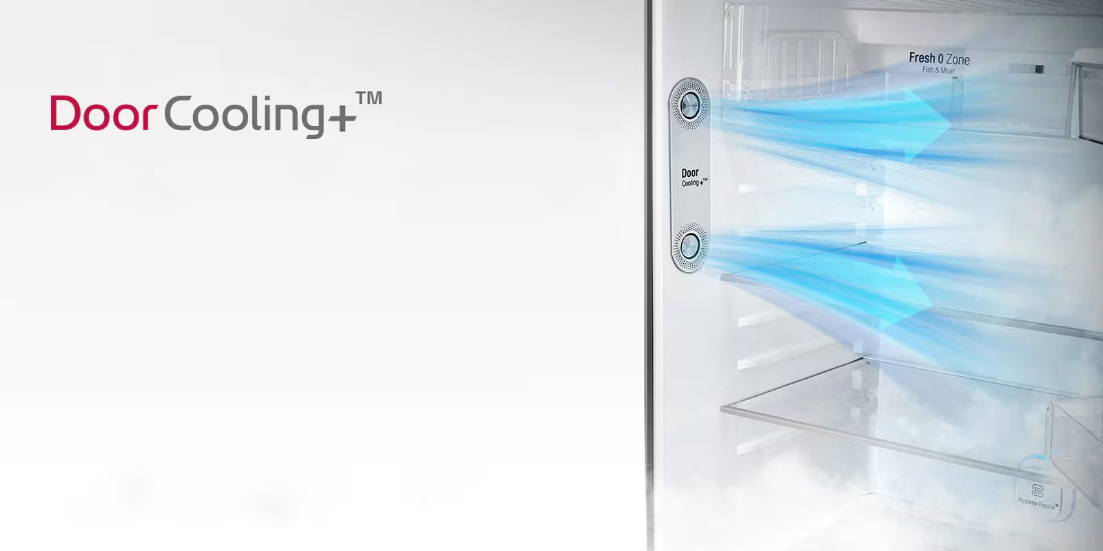 LG 308L Double Door Inverter Refrigerator - Shiny Steel GL-M332RPZI thumbnail 2